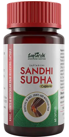 Sandhi Sudha